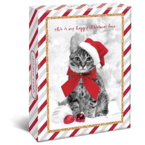 Boxed Cat Christmas Cards 
