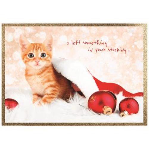 Holiday Cats Boxed 4" x 6" Christmas Cards (20) Glitter & Foil