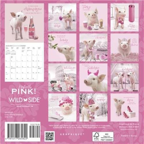 Perfectly Pink! Adorable Pig Mini 2020 Calendar Supporting Susan G Komen