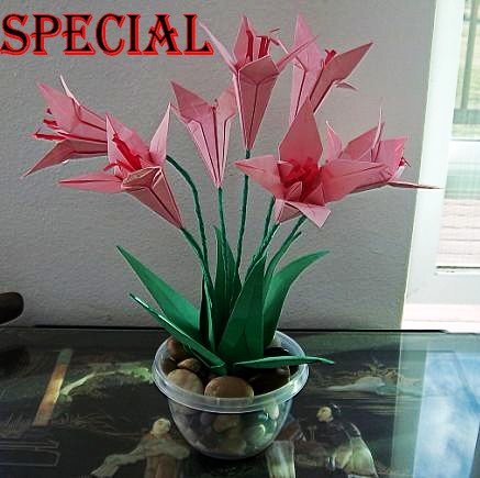 Origami Lily Paper Folded Flower Craft Handmade Gift for Special Day or Decor Pink