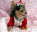 Valentine Sweater