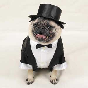 Groom