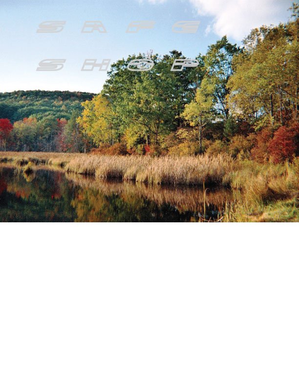 Autumn Pond
