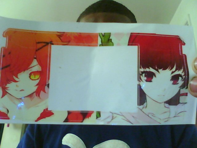 Cheap 3-set Anime Nintendo dsi Skin!