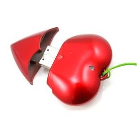 New 1GB Real Heart-Red USB 2.0 Flash Drive Memory (Red)