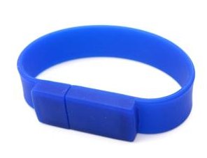 New 1GB Wrist Memory Card (Blue)