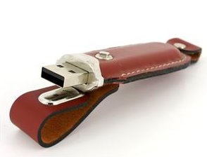 New 1GB Flash Memory Stick Thumb Pen Drive (Red)