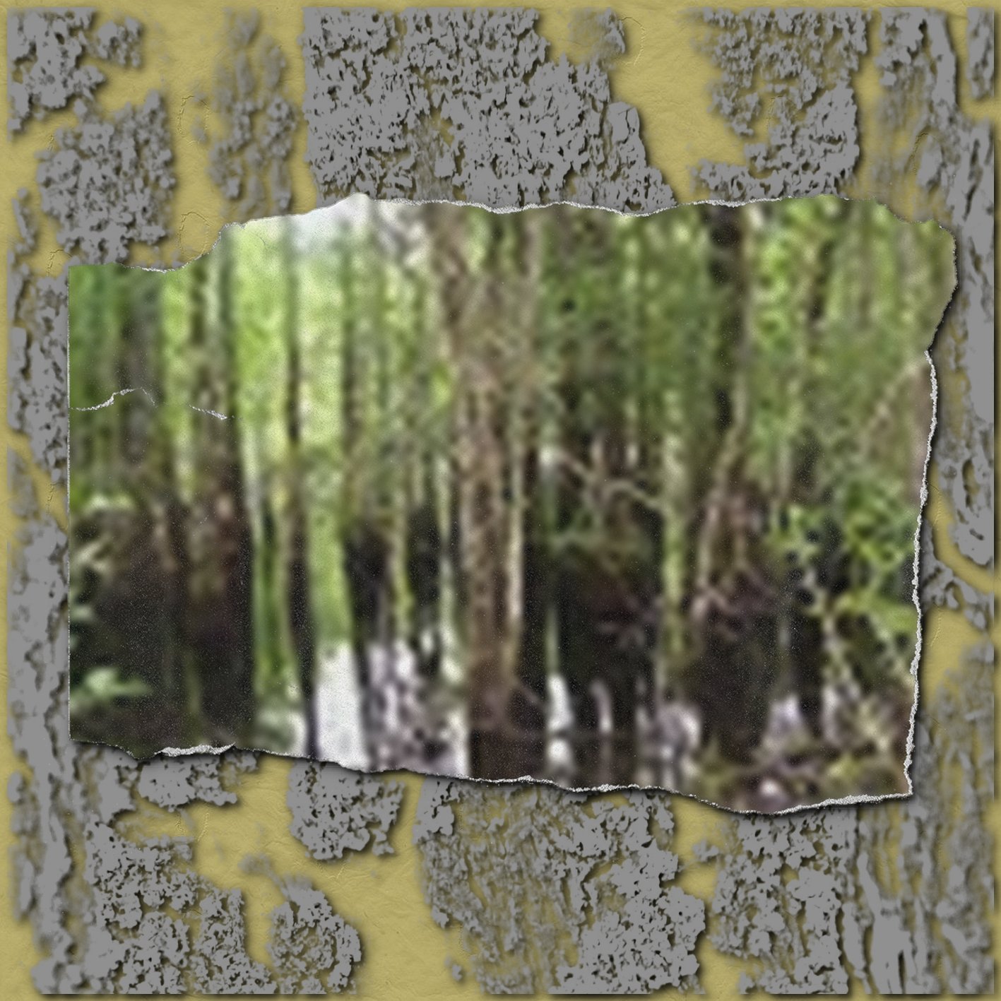 Camping Still 8.5 x 8.5