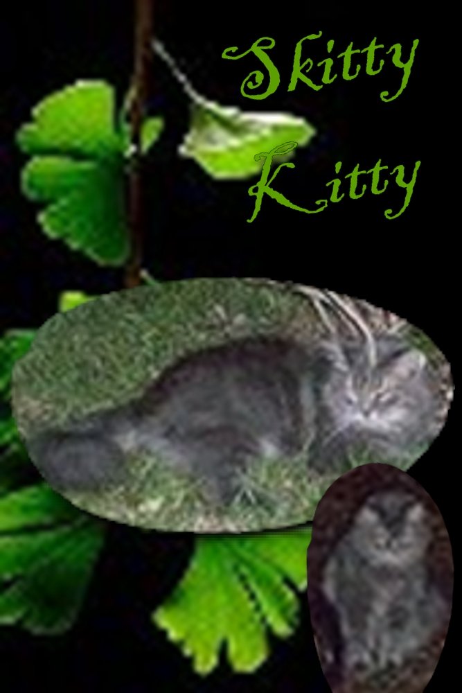Animals Skitty Template 4 x 6