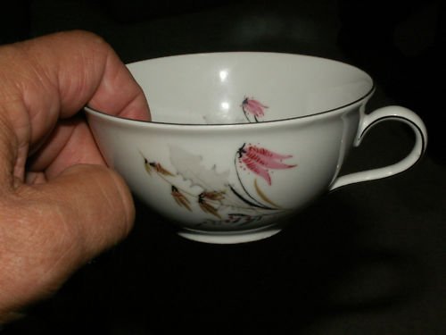 ROYAL DUCHESS Tea Cup CHINA Bavaria Germany FREE SHIP