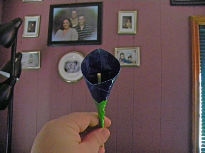 Calla Lily