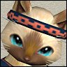 cat1