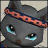 cat2