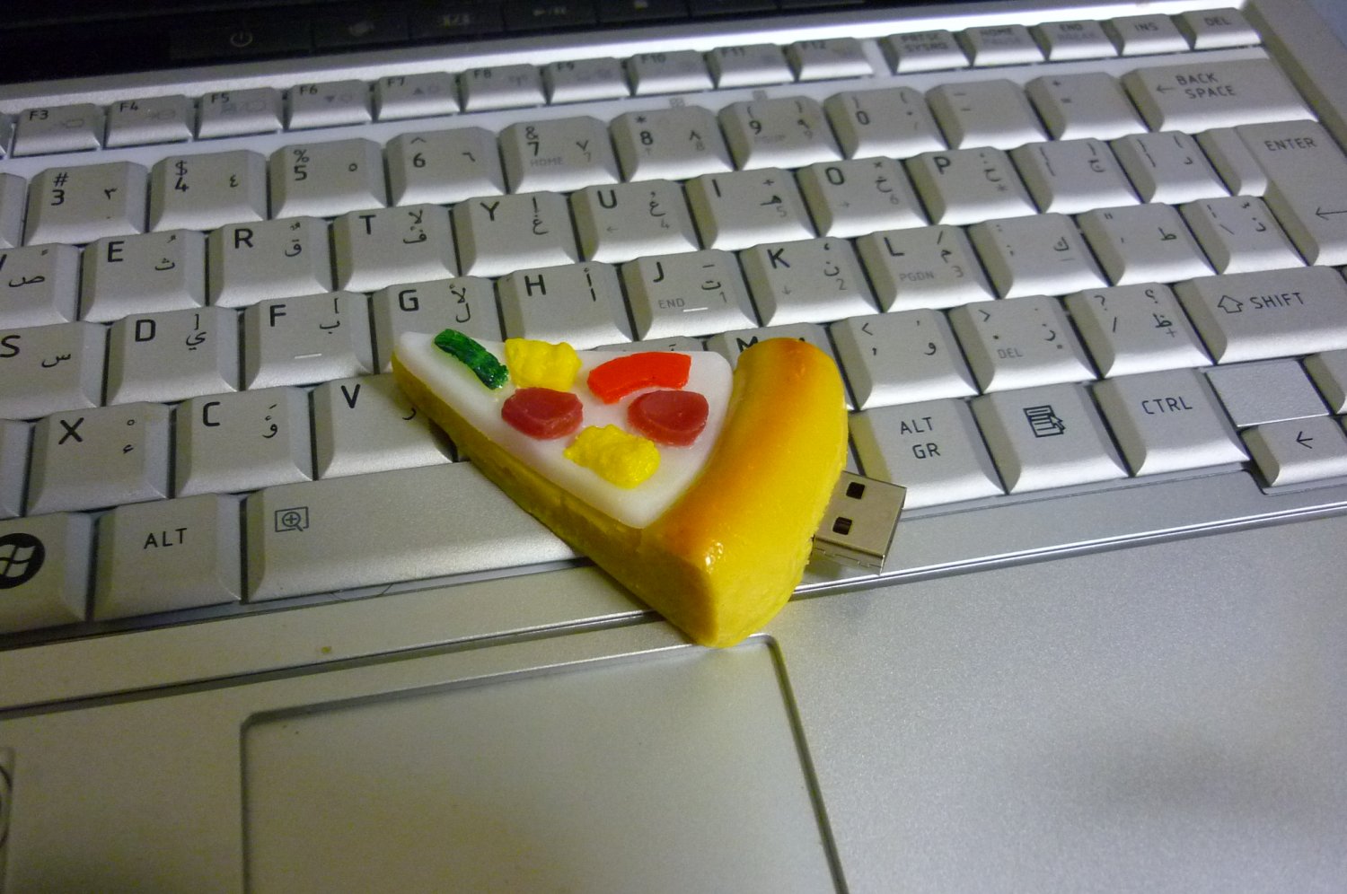 4GB CUTE PIZZA Flash Memory Stick Thumb Drive