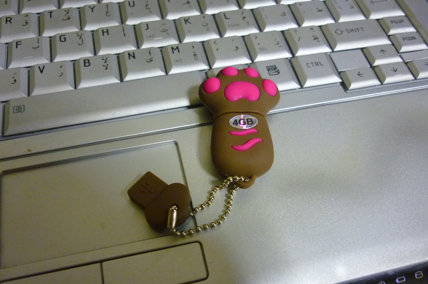 4GB CUTE BROWN PAWS Flash Memory Stick Thumb Drive