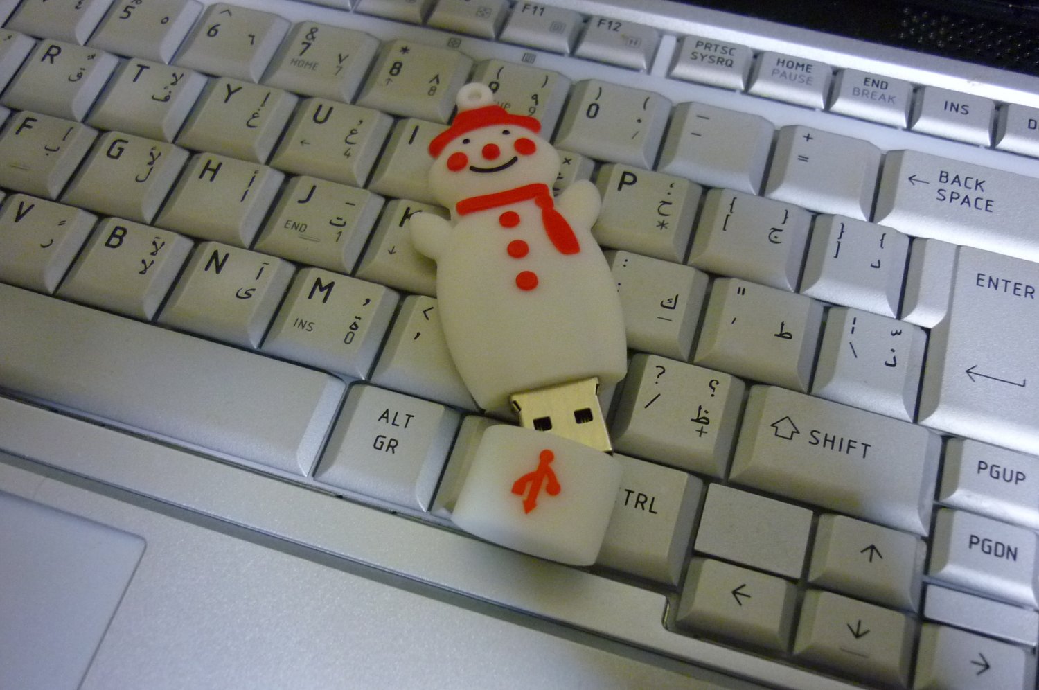 4GB CUTE SNOWMAN Flash Memory Stick Thumb Drive