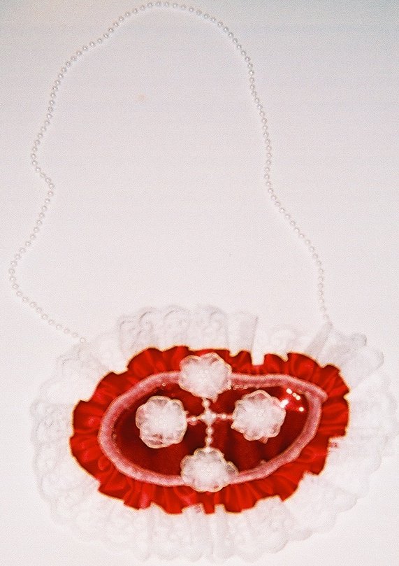 trisonic bib purse necklace