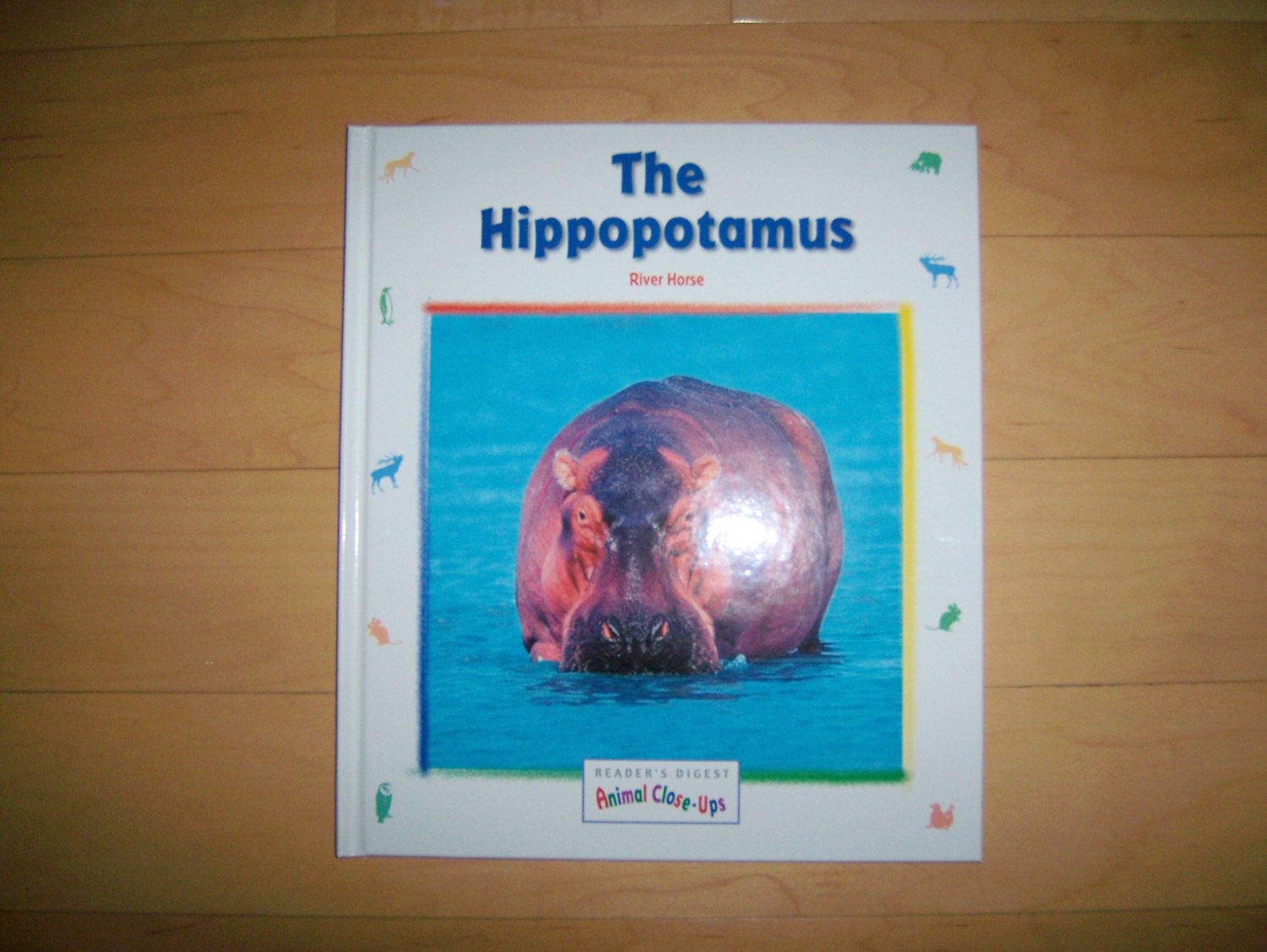 "The Hippopotamus" The River Horse BNK545