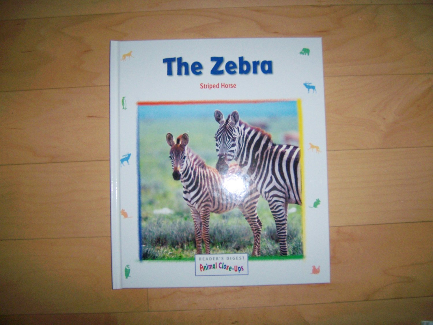 "The Zebra" The Striped Horse BNK546