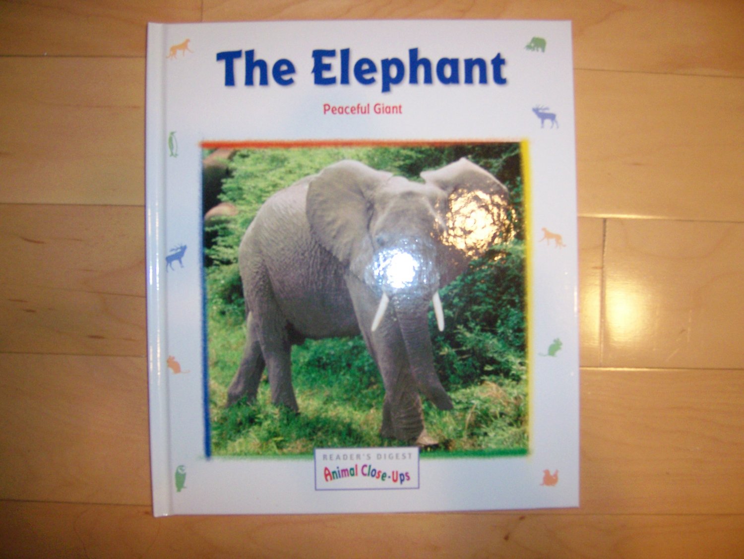 "The Elephant" Peaceful Giant BNK547