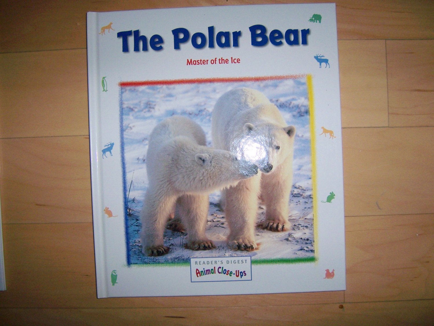 "The Polar Bear" Master Of The Ice BNK550