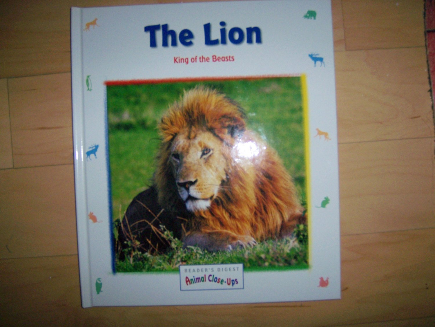 "The Lion" The King Of The Beasts BNK551