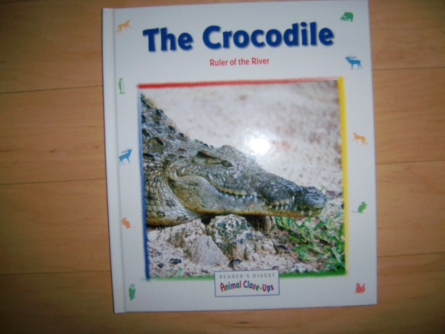 "The Crocodile" Ruler Of The River BNK552