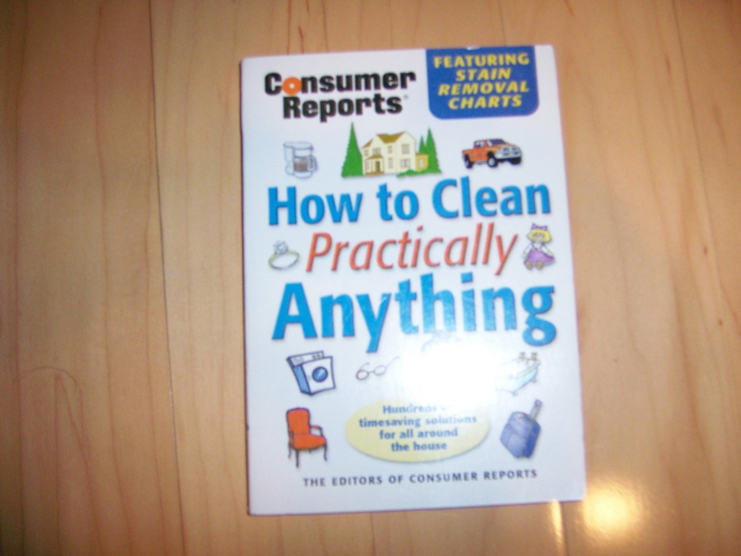 How To Clean Practically Everything BNK569