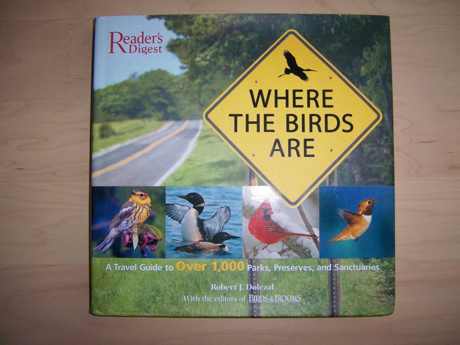 Where The Birds Are Complete Guide With Maps And Info BNK692