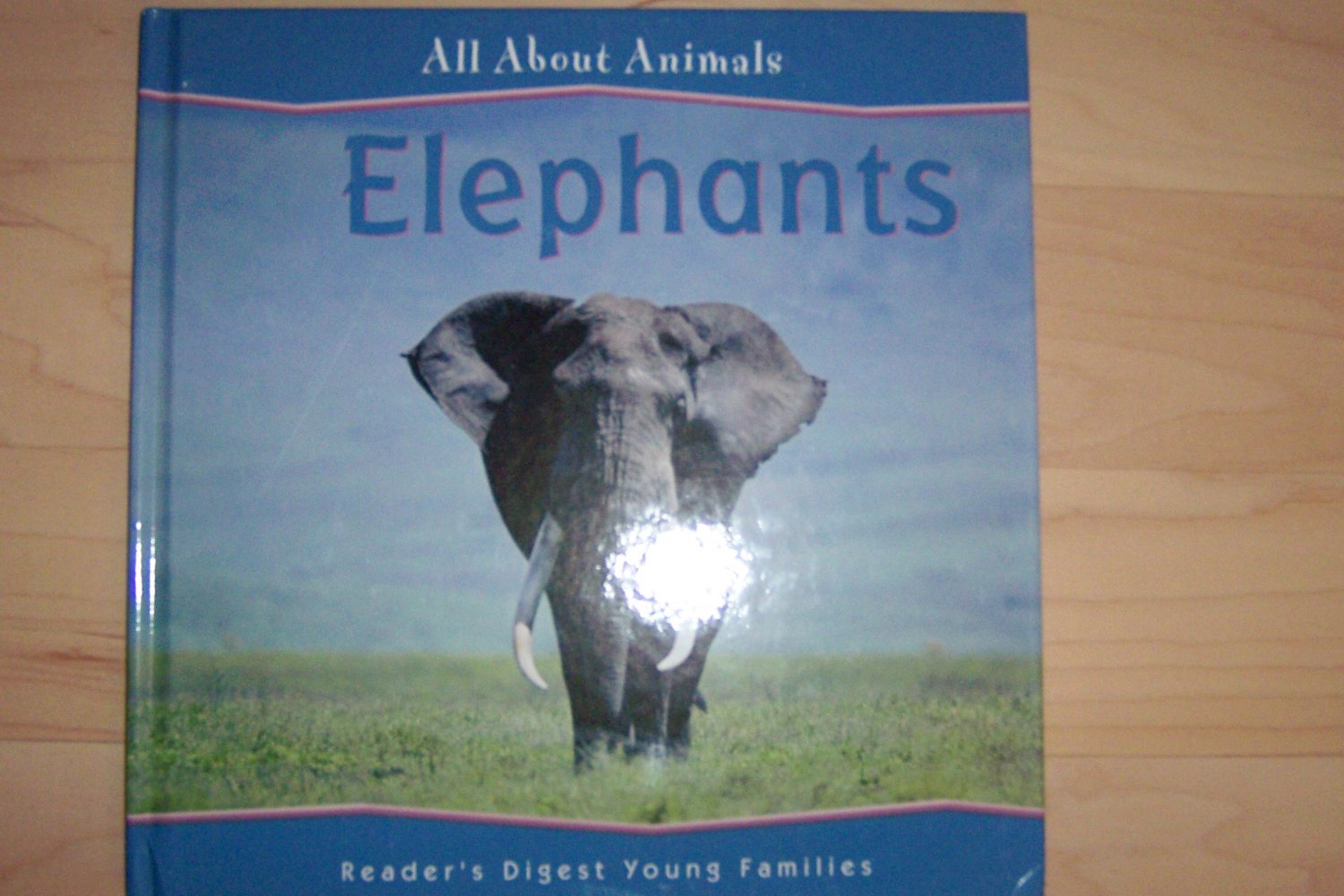 All About Animals "Elephants BNK703