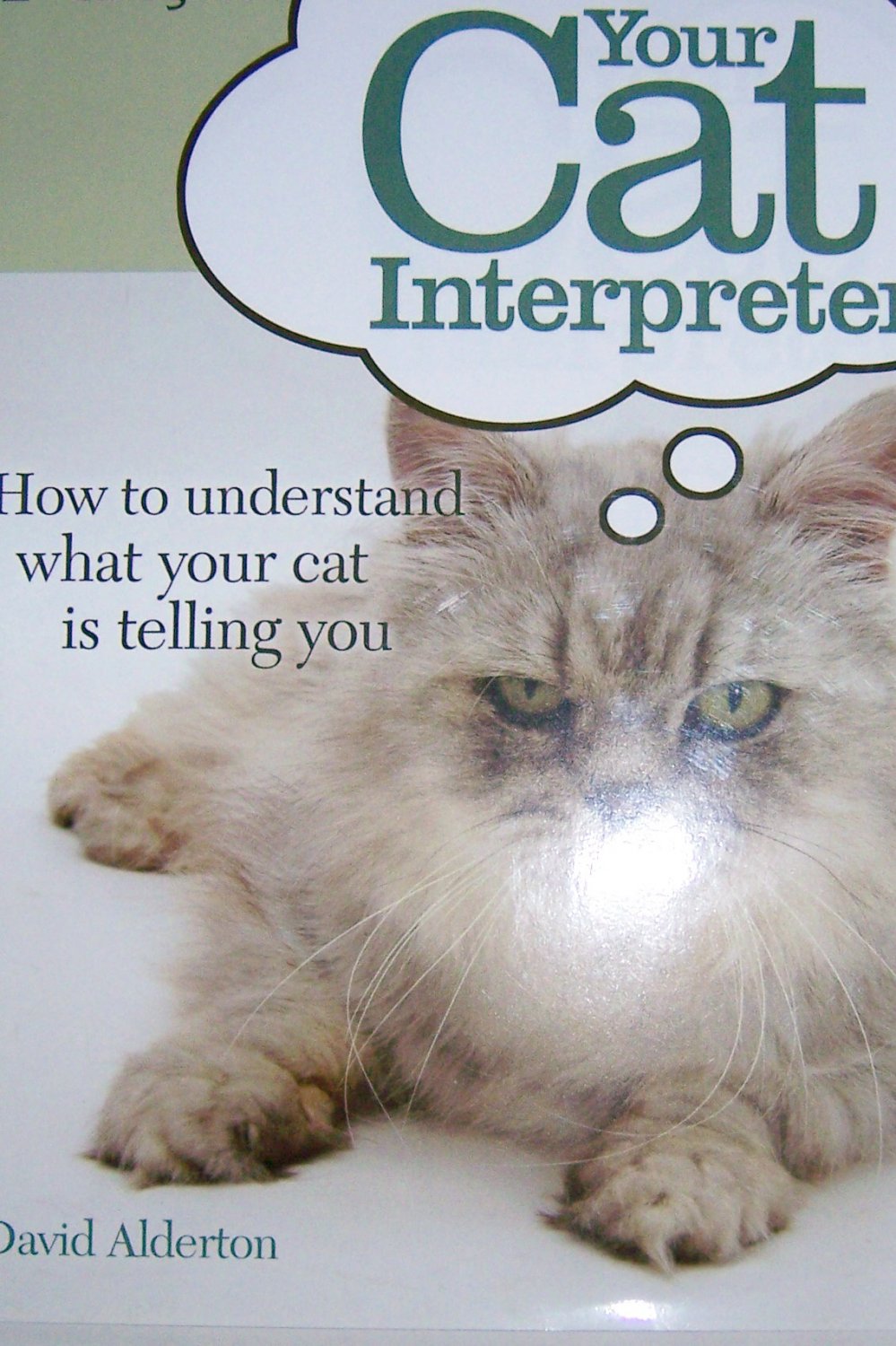 Cat Interpreter To Understand All She Says And Does BNK717