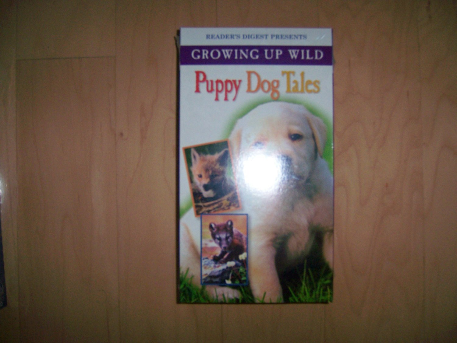 VHS Puppy Dog Tales Growing Up Wild BNK777