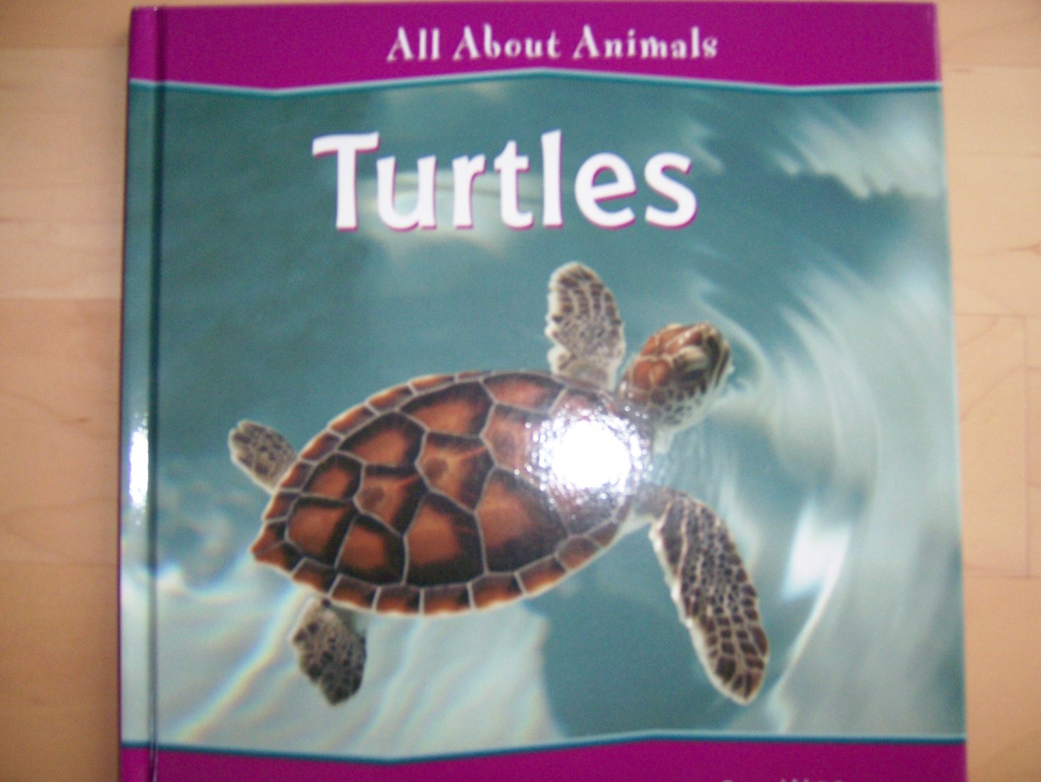 All About Animals Turtles BNK836