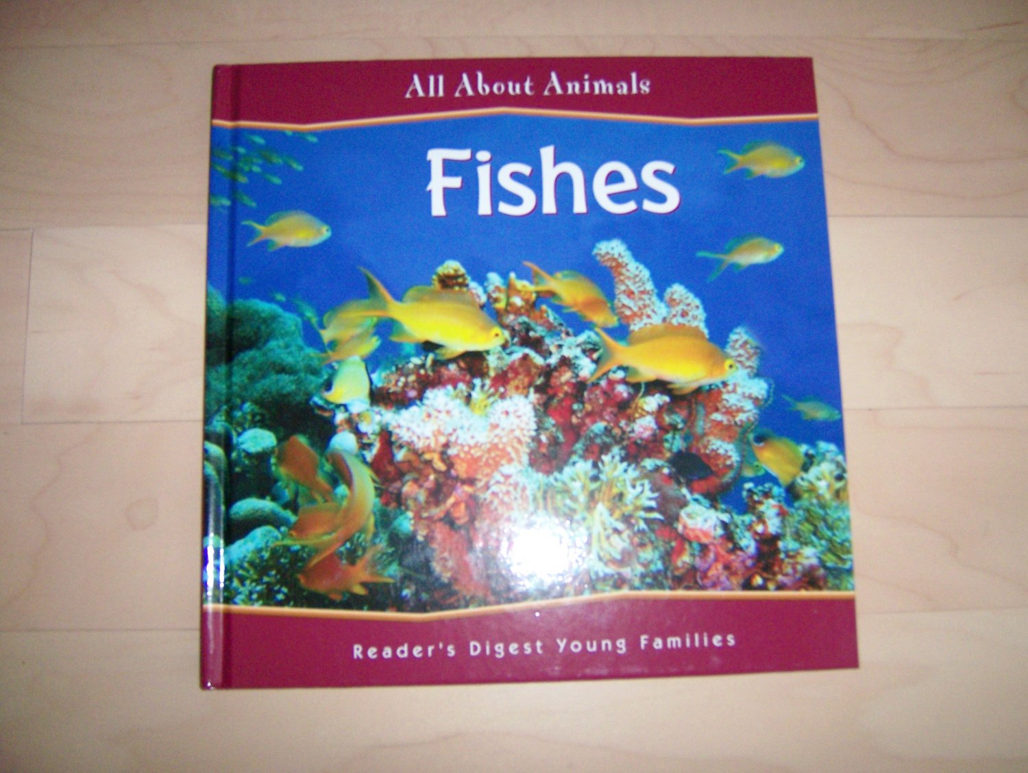 All About Animals Fishes BNK837