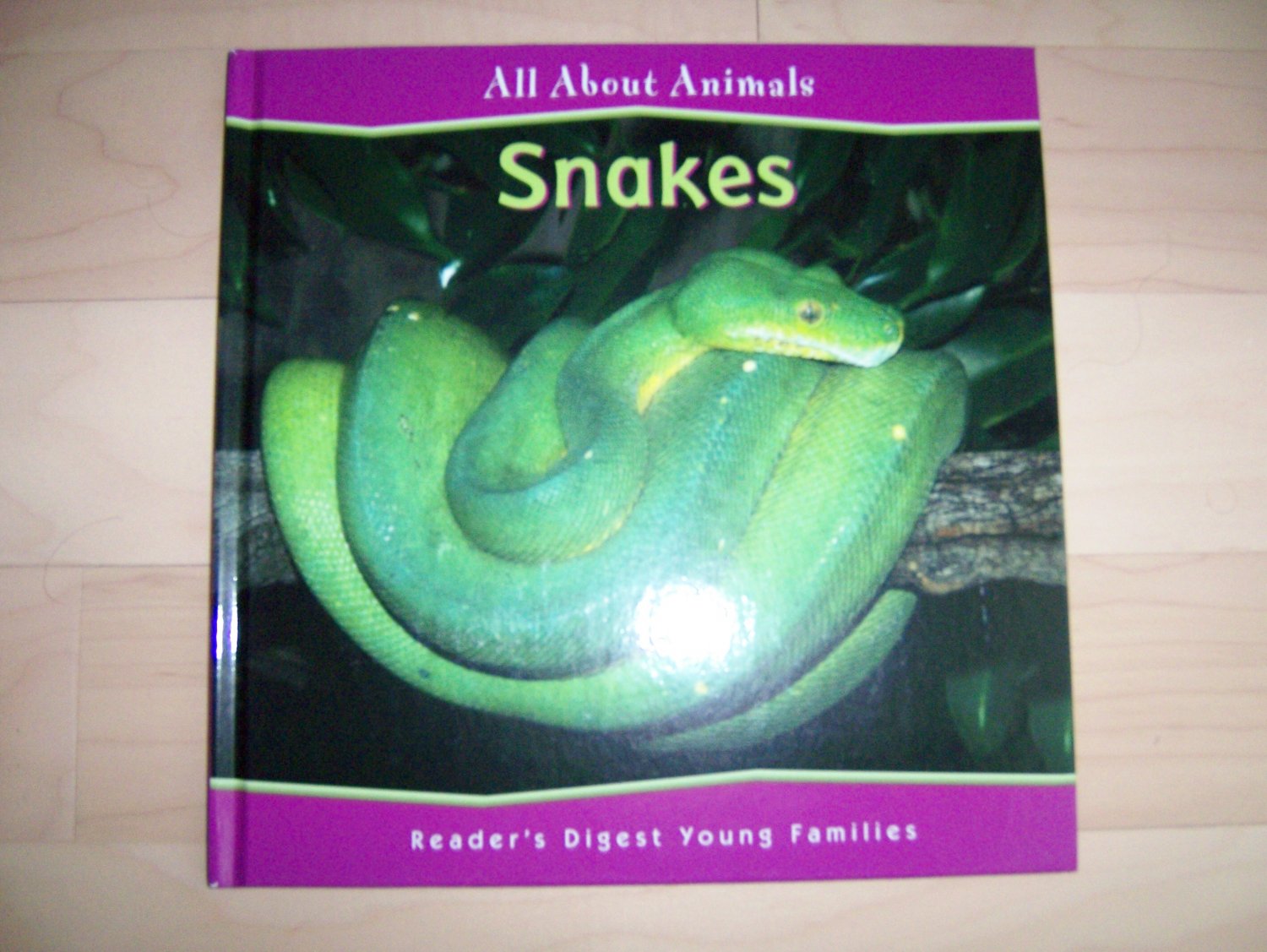 All About Animals Snakes BNK838