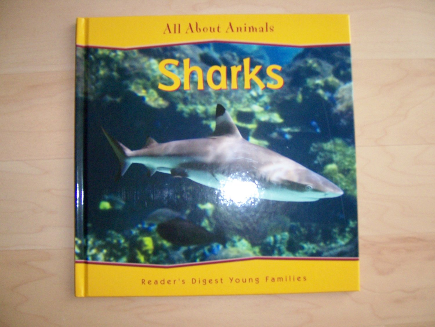 All About Animals Sharks BNK856