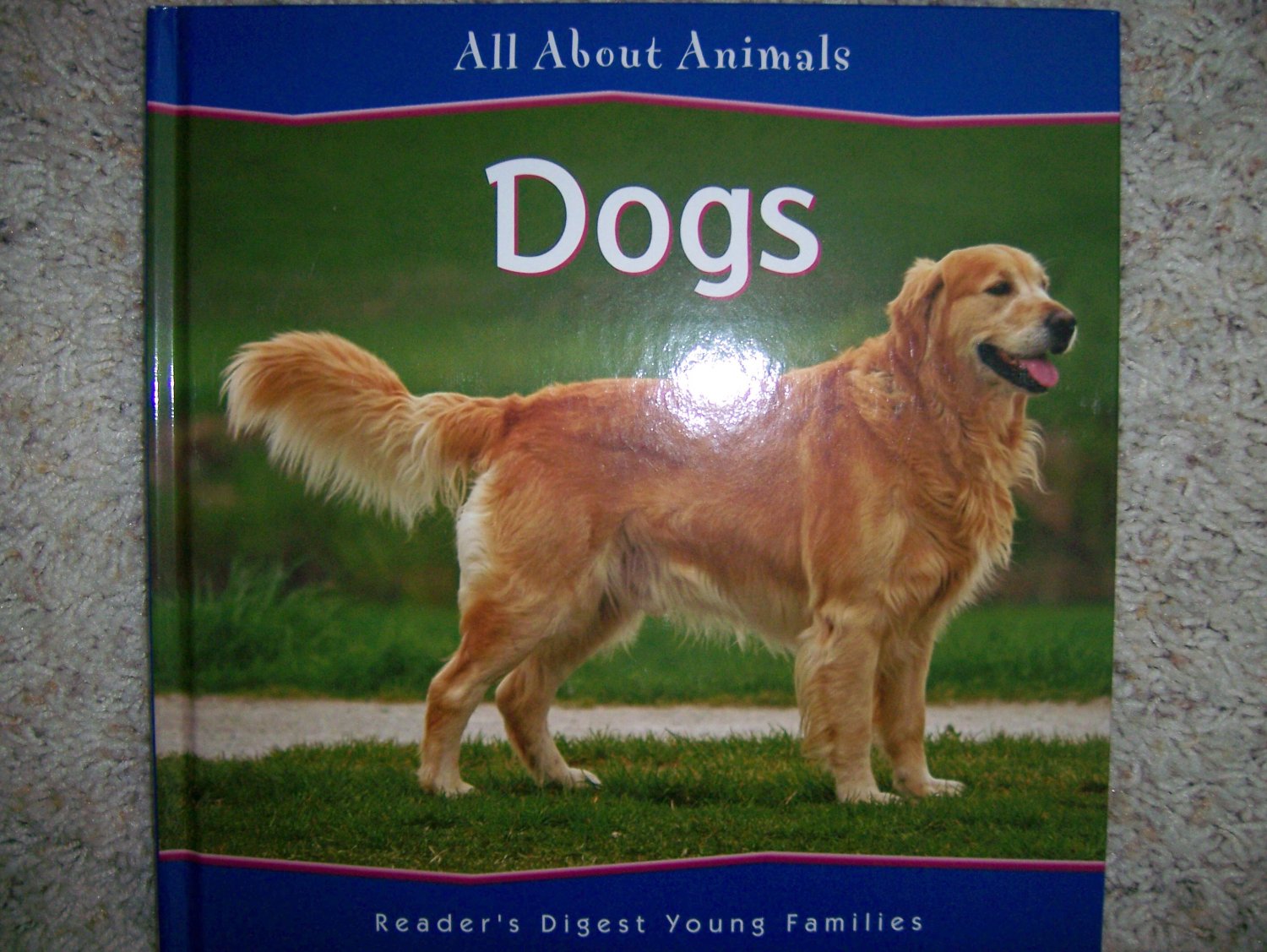 All About Animals Dogs BNK857