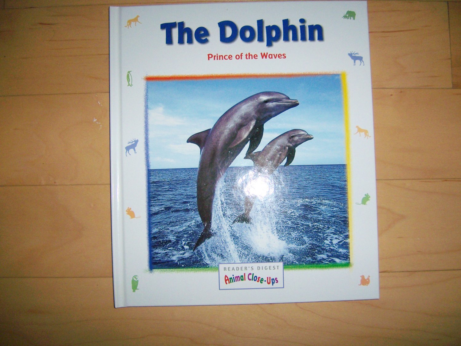 All About Animals "Dolphins" BNK704