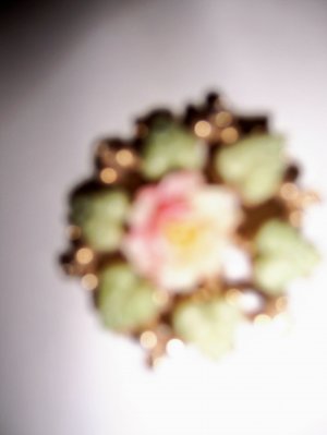 Circle Rose & Green Leaves Gold Trim Pin BNK1981