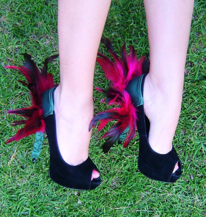 Fancy Feathers