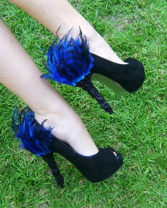 Blue Feathers