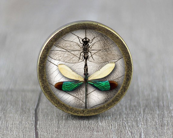 Butterfly Glass Cabochon Bronze cabinet Dresser Knobs pull / Dresser Pull
