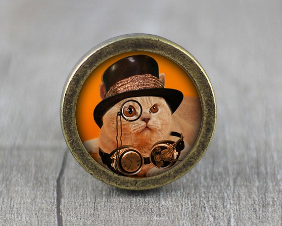 Steampunk Cat Glass Cabochon Bronze cabinet Dresser Knobs pull / Dresser Pull