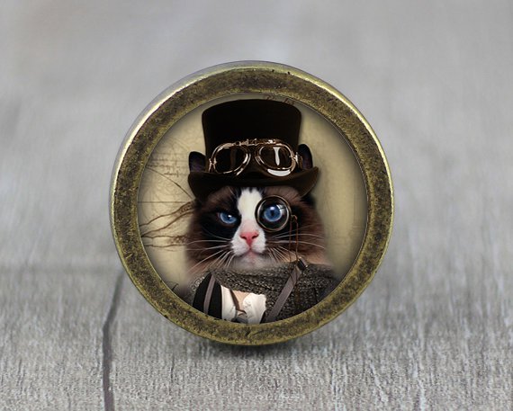 Steampunk Cat Glass Cabochon Bronze cabinet Dresser Knobs pull / Dresser Pull