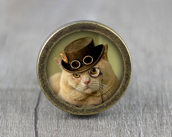 Steampunk Cat Glass Cabochon Bronze cabinet Dresser Knobs pull / Dresser Pull
