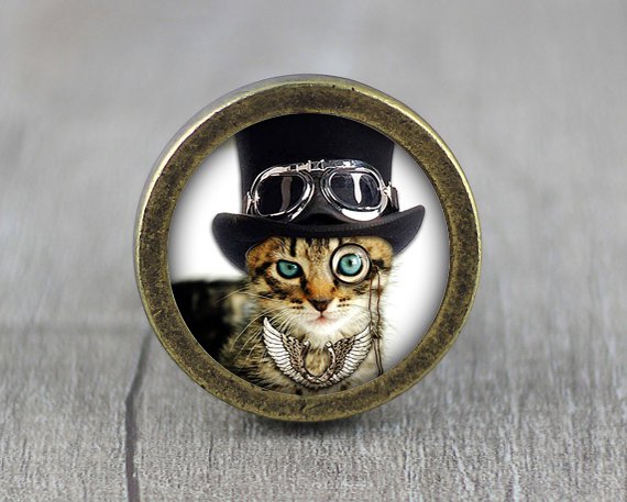 Steampunk Cat Glass Cabochon Bronze cabinet Dresser Knobs pull / Dresser Pull
