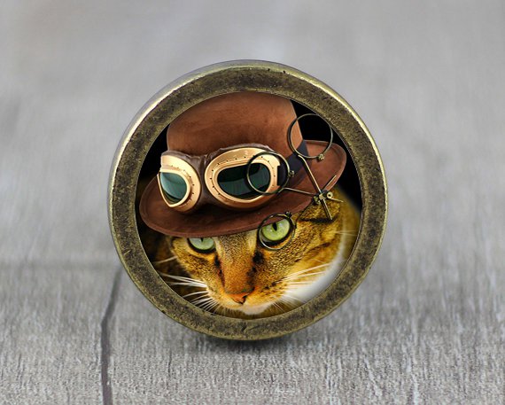 Steampunk Cat Glass Cabochon Bronze cabinet Dresser Knobs pull / Dresser Pull