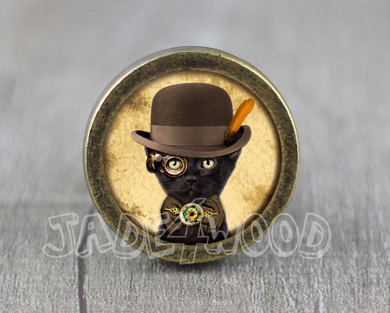 Cat Glass Cabochon Bronze cabinet Dresser Knobs pull / Dresser Pull