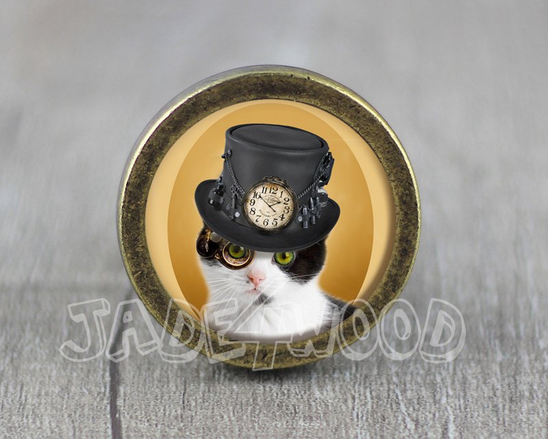 Cat Glass Cabochon Bronze cabinet Dresser Knobs pull / Dresser Pull