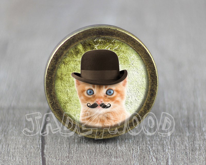 Cat Glass Cabochon Bronze cabinet Dresser Knobs pull / Dresser Pull